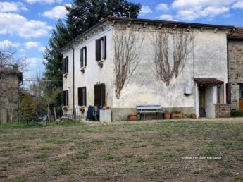 Rustico della Cicoria exclusive sales rights Albareto