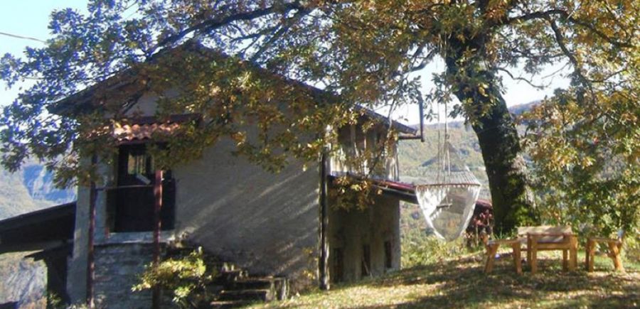 Dal Piemonte con passione